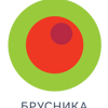 БРУСНИКА-ЮГ, ООО