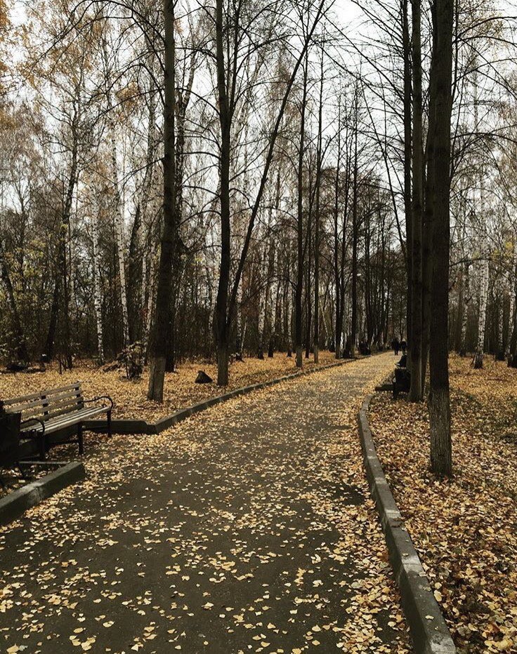 Парк бугринская роща