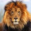 aleks.plitov