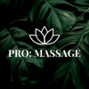 Pro:massage