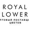 Royal Flowers