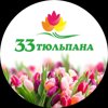 33 тюльпана
