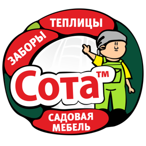 Сота