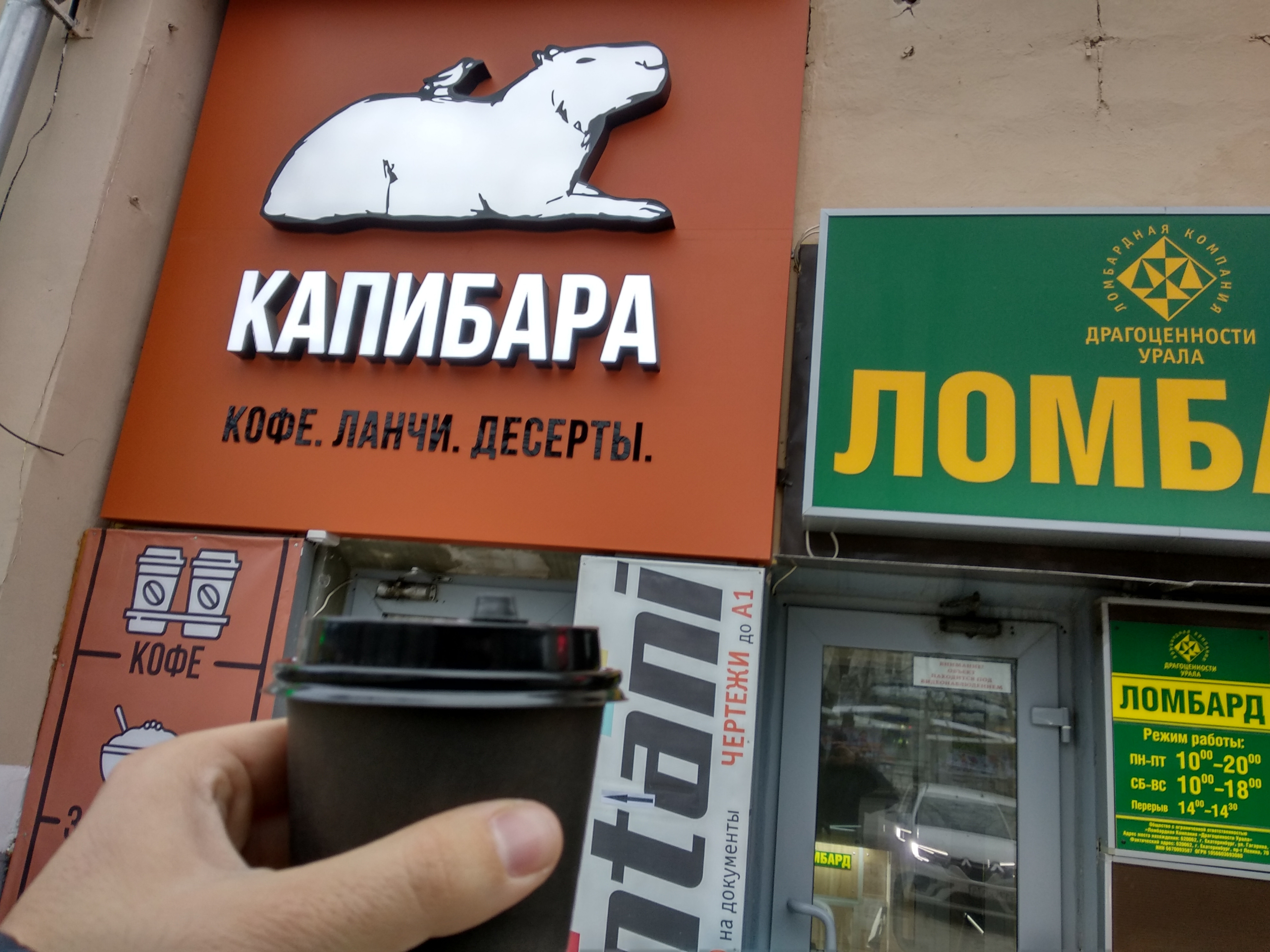 Кофейня с капибарами москва адрес. Капибара кофейня. Ресторан капибара. Кафе капибара Екатеринбург. Кафе с Капибарами.