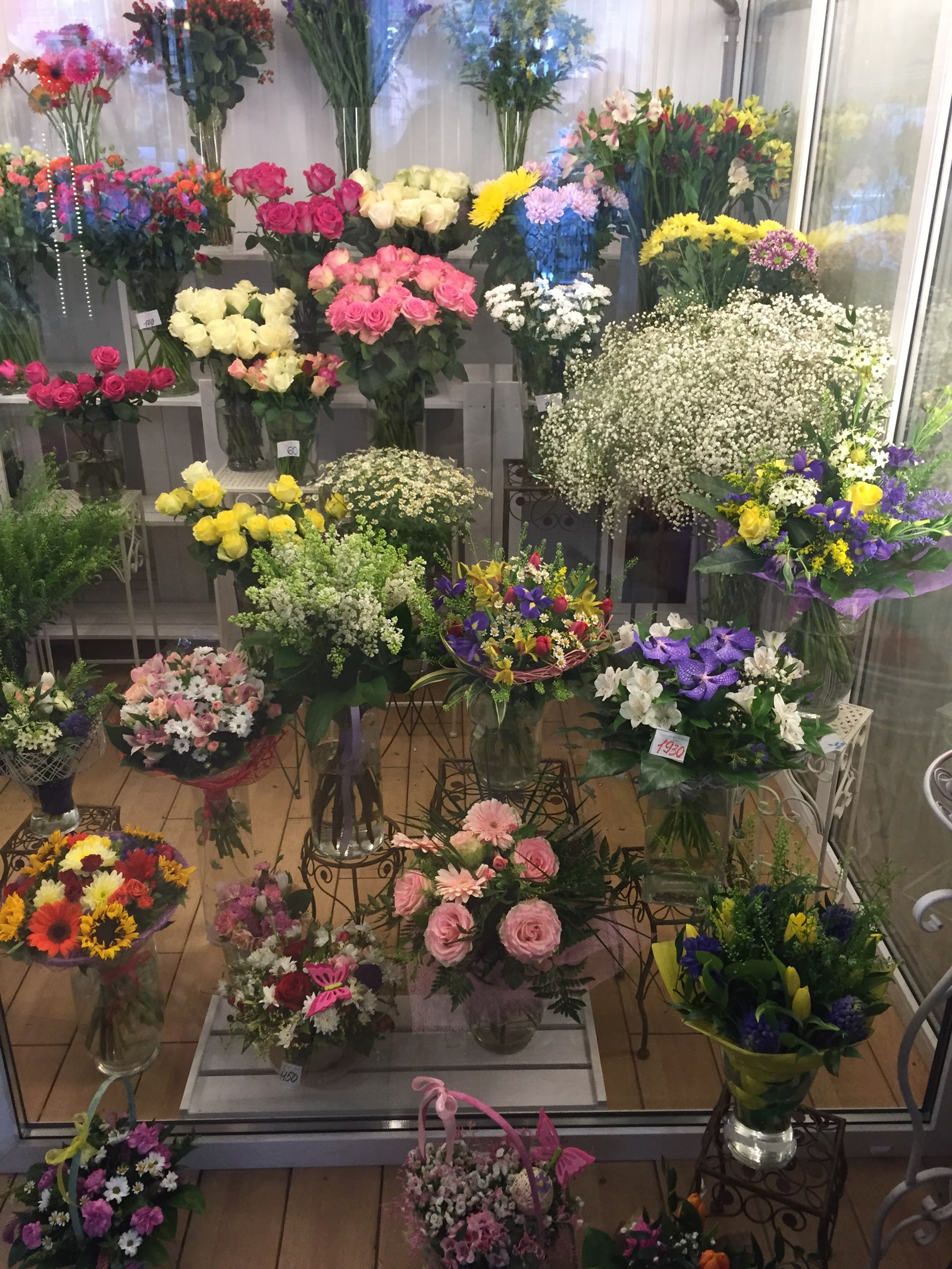 Какие цветы продают в цветочных магазинах названия и фото