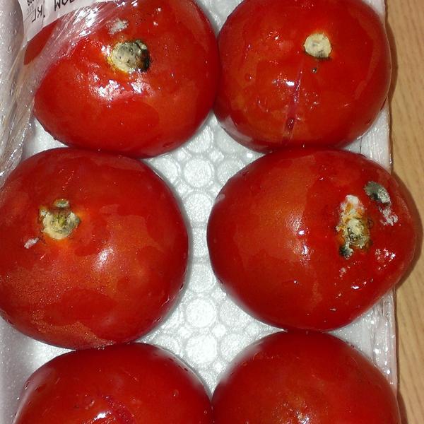 Гнилые помидоры "Сады гиганта" из супермаркета "Мегас", Новосибирск.