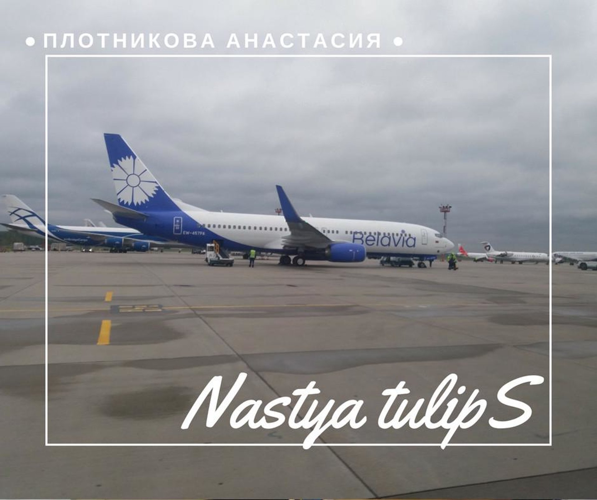 Belavia, авиакомпания, Гостиница Полесье, Армянский переулок, 6, Москва —  2ГИС