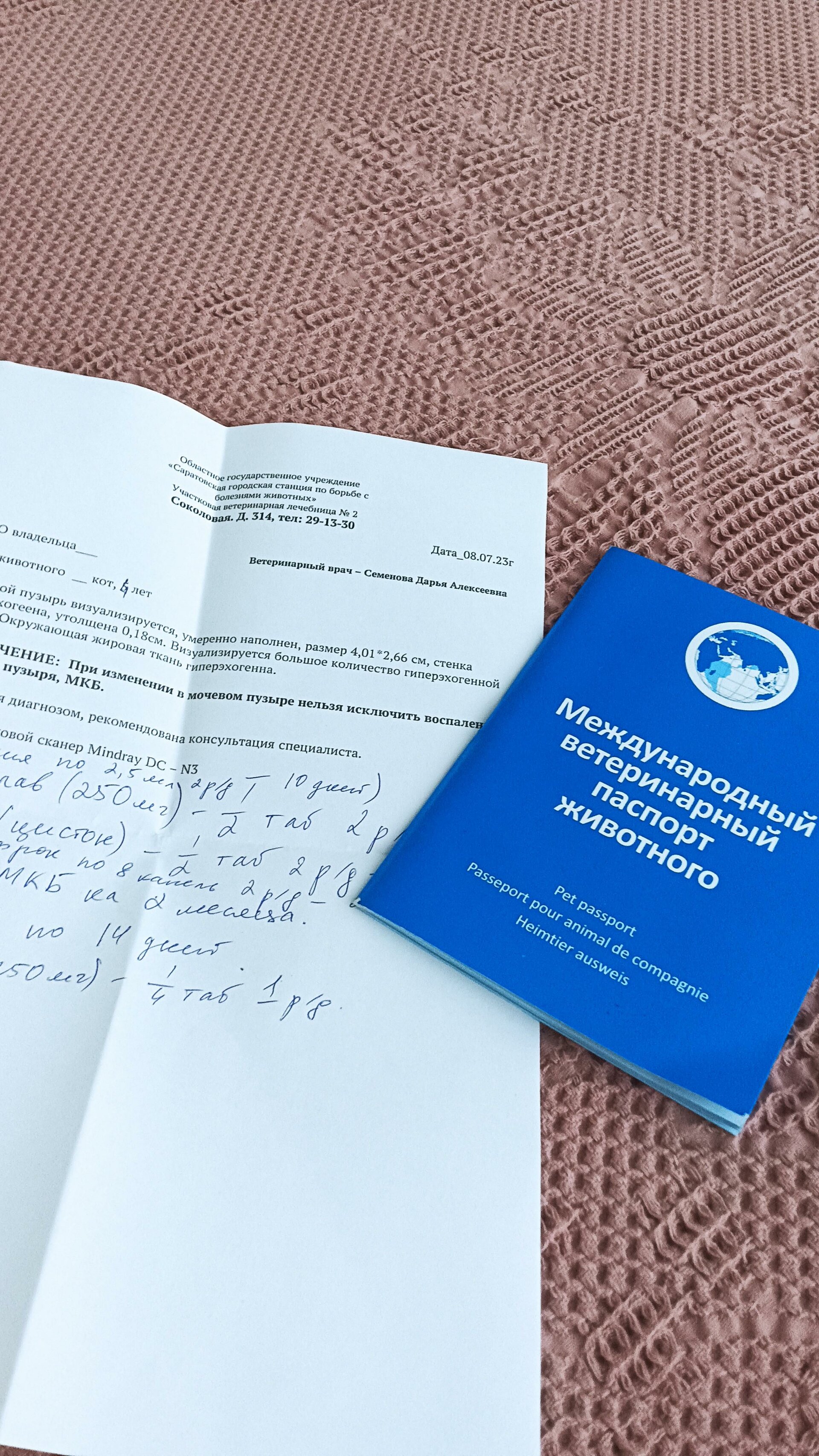 Государственная ветеринарная лечебница №2, Соколовая улица, 314/79, Саратов  — 2ГИС