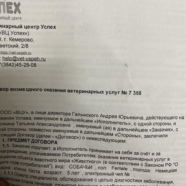 Время Работы Магазина Успех В Кемерово Время Работы Магазина Успех В Кемерово