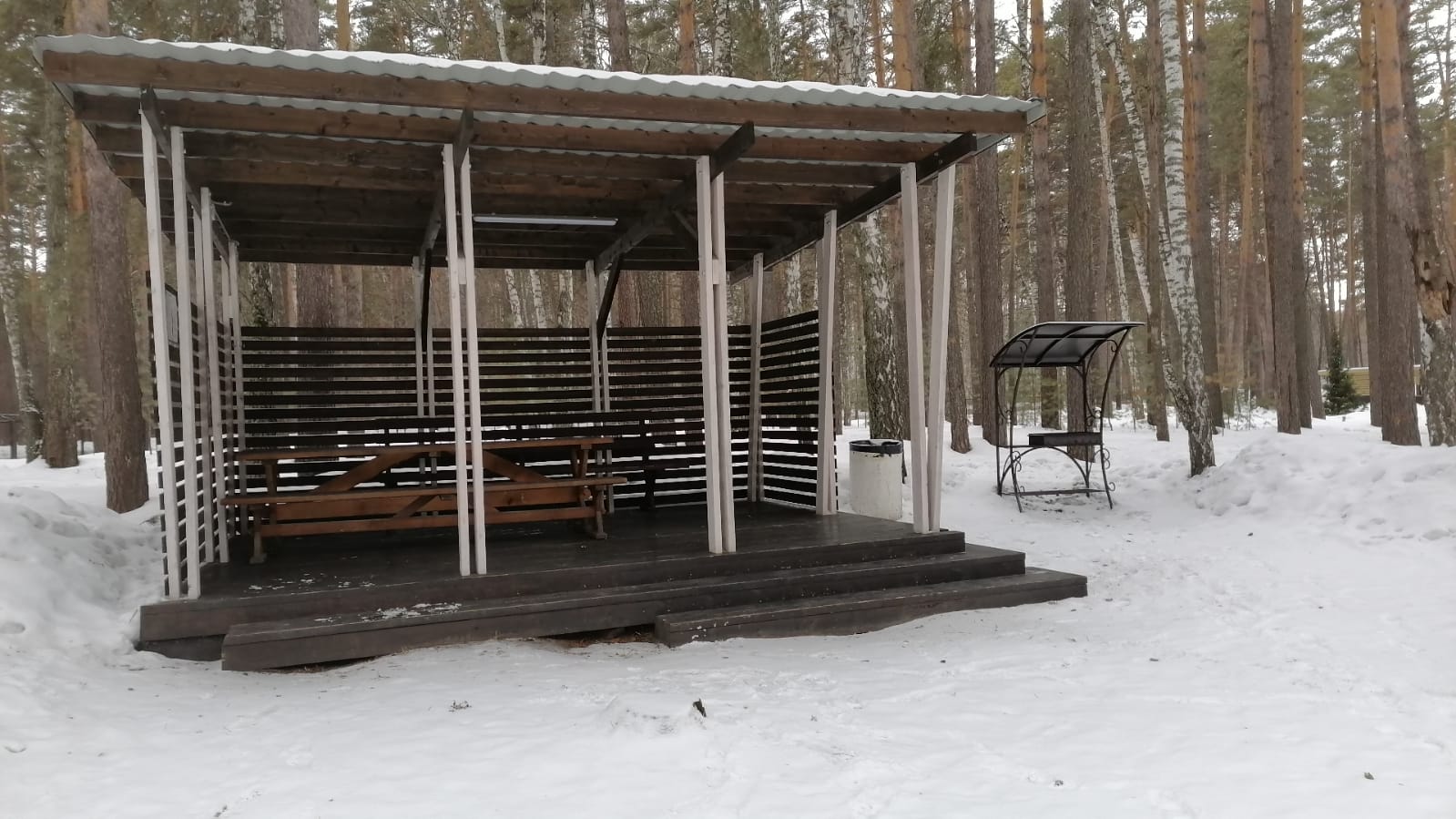 Экопарк чкаловские дачи новосибирск. Экопарк Чкаловские дачи. Дом отдыха Мочище. Чкаловские дачи Новосибирск бассейн. Эко парк в Новосибирске Чкаловские дачи.