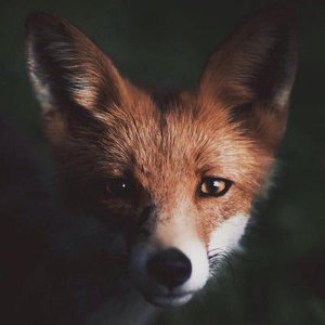 Людмила Пятаева