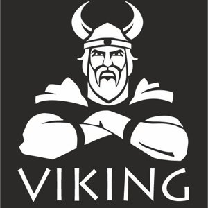 Viking Gear