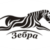 Зебра