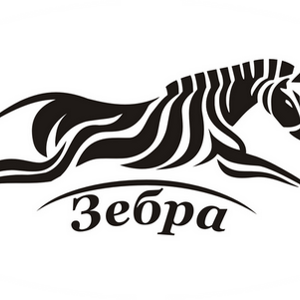 Зебра