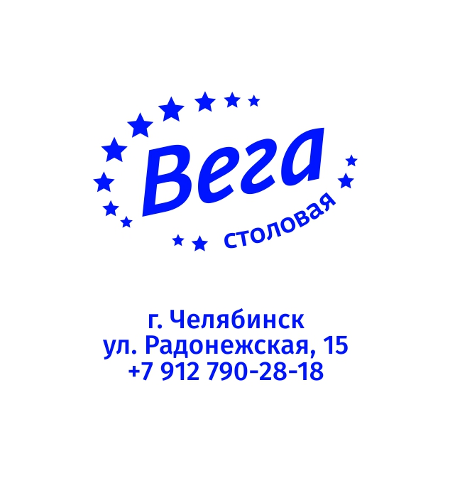 Тд вега. Радонежская 15 Челябинск. Компания Вега. Радонежская 15 Челябинск организации. Радонежская 15 Челябинск ДНС.