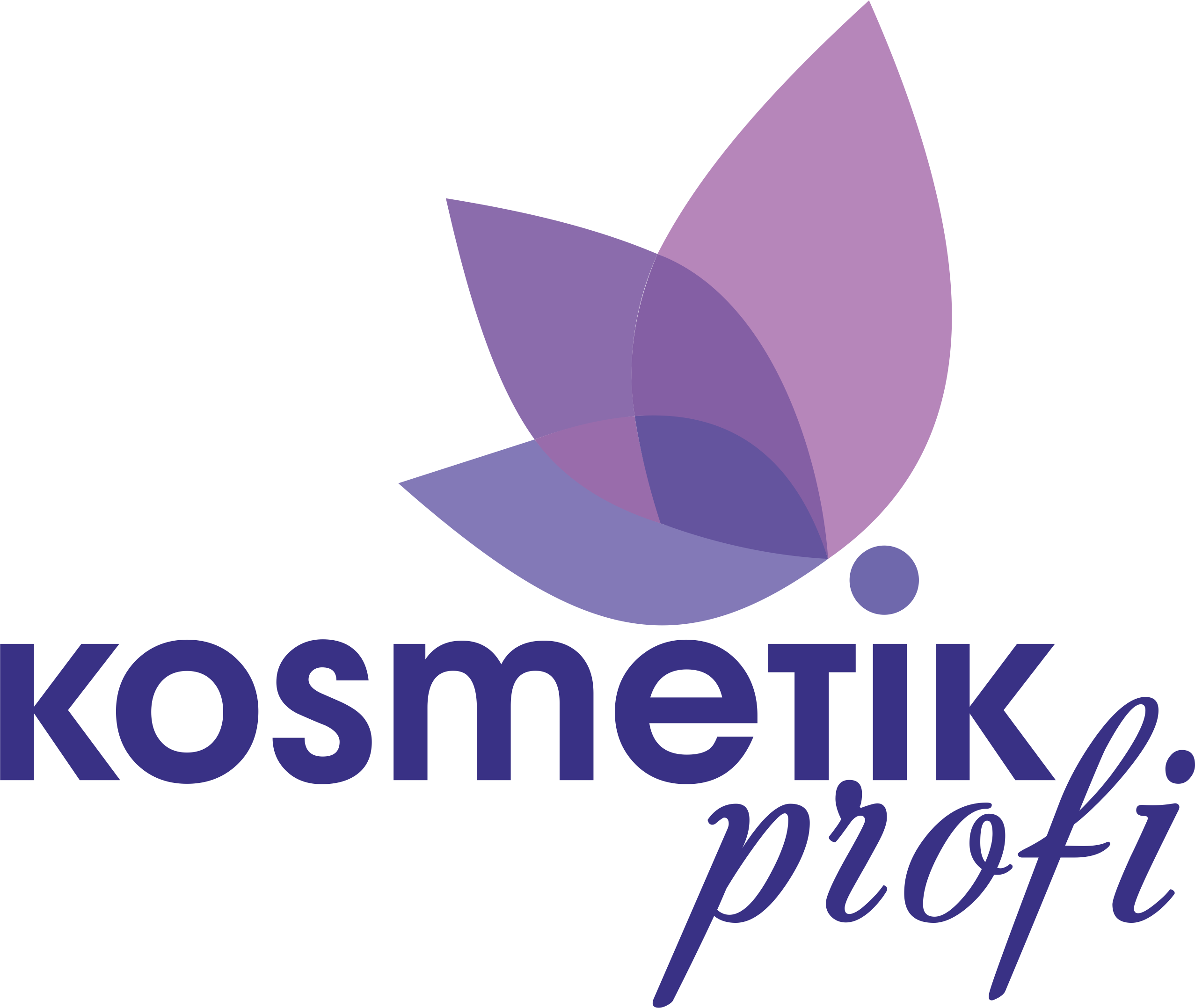 Kosmetik Profi, компания по комплексному оснащению клиник эстетической  медицины, косметологических кабинетов и салонов красоты в Барнауле на улица  Попова, 208 — отзывы, адрес, телефон, фото — Фламп