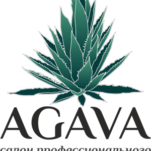 Агава