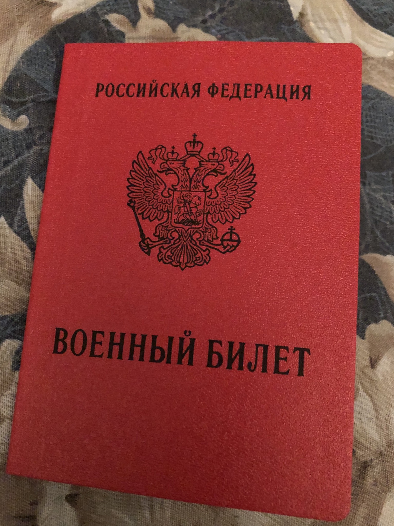 Организация помощи призывникам. Организация помощи призывникам. Организация помощи призывникам. Помощь призывникам. Организация помощи призывникам.