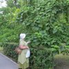 Людмила Школьная