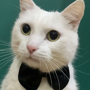 Кристина
