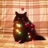 музей истории екатеринбурга ул карла либкнехта 26. Смотреть фото музей истории екатеринбурга ул карла либкнехта 26. Смотреть картинку музей истории екатеринбурга ул карла либкнехта 26. Картинка про музей истории екатеринбурга ул карла либкнехта 26. Фото музей истории екатеринбурга ул карла либкнехта 26