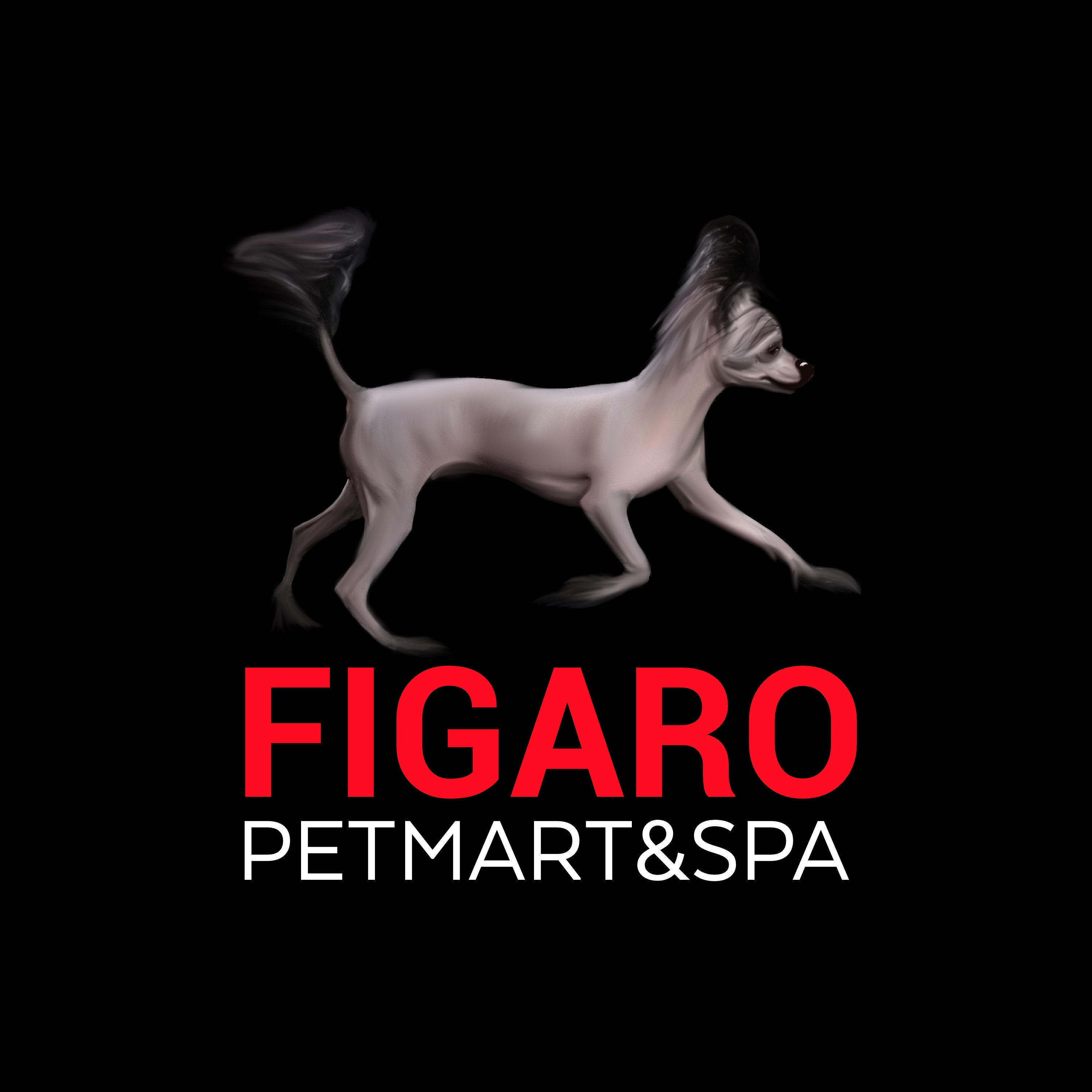 Figaro petmart&SPA, груминг-салон для домашних животных в Москве на метро  Фрунзенская — отзывы, адрес, телефон, фото — Фламп