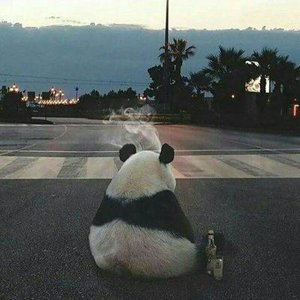 Кирилл Шаляпин