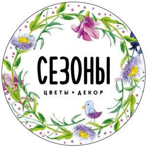 Сезоны