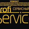 Profi-service