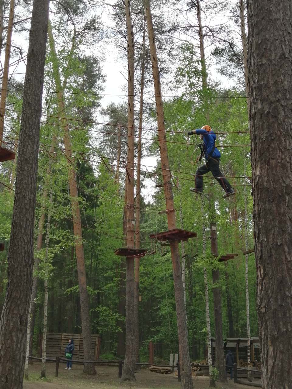 манки парк пермь динамо