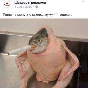 Владимир Николайчик