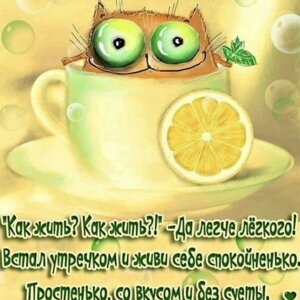 misha.svarozhich