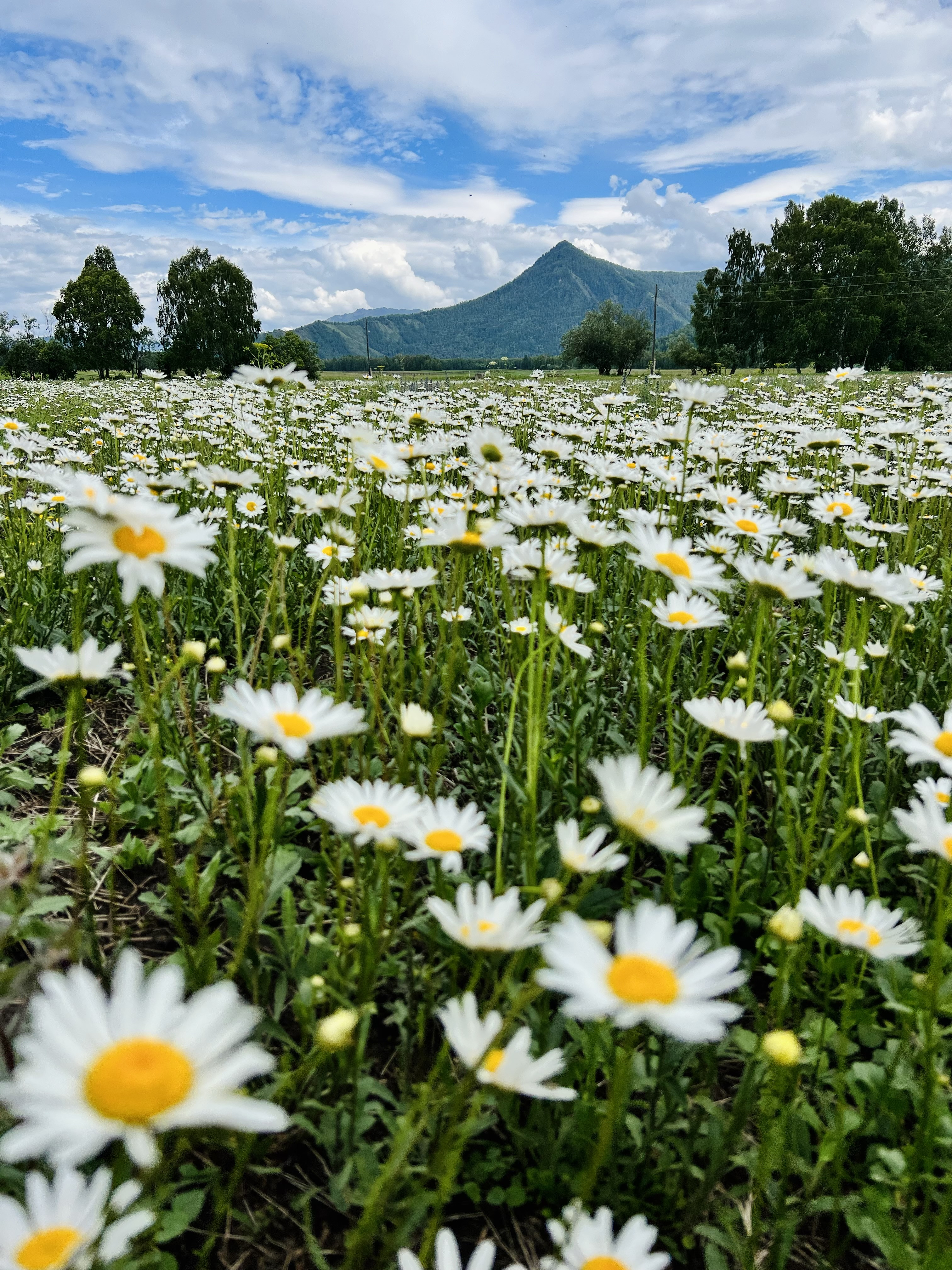 Площадь Баварина Барнаул