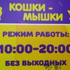 Кошки-мышки