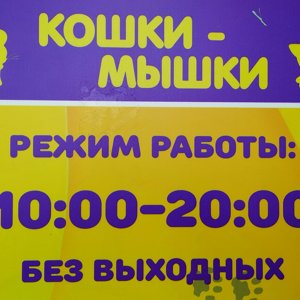 Кошки-мышки