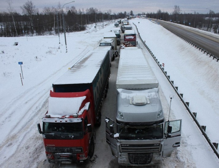 Фото Фур Зимой