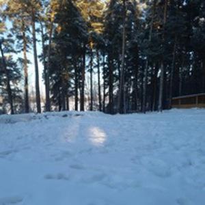 Юлия Терентьева