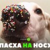 С.ШлЫк