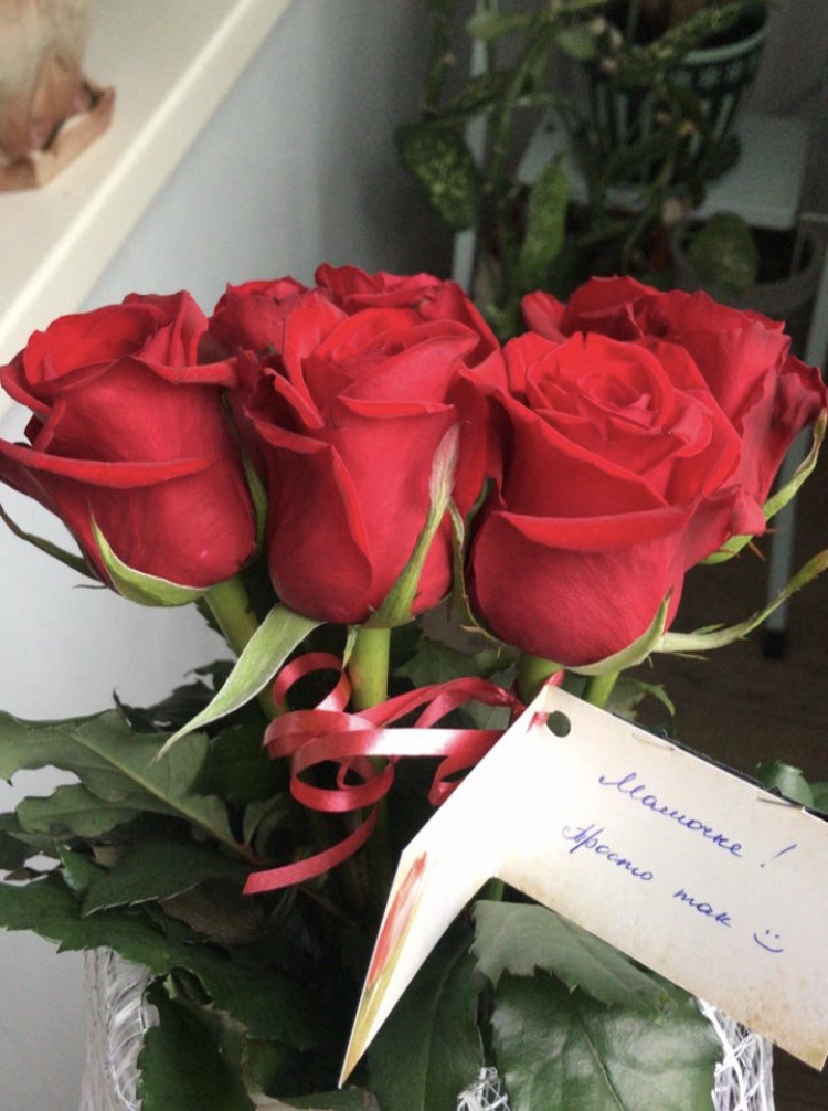 Скорая Подарочная Помощь Калуга Новогодние Подарки Скорая Подарочная Помощь Калуга Новогодние Подарки