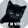 At Otovix
