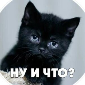 At Otovix