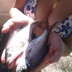 Андрей Рылов