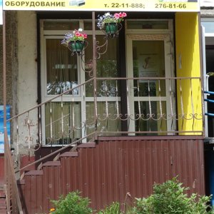 Аллигатор