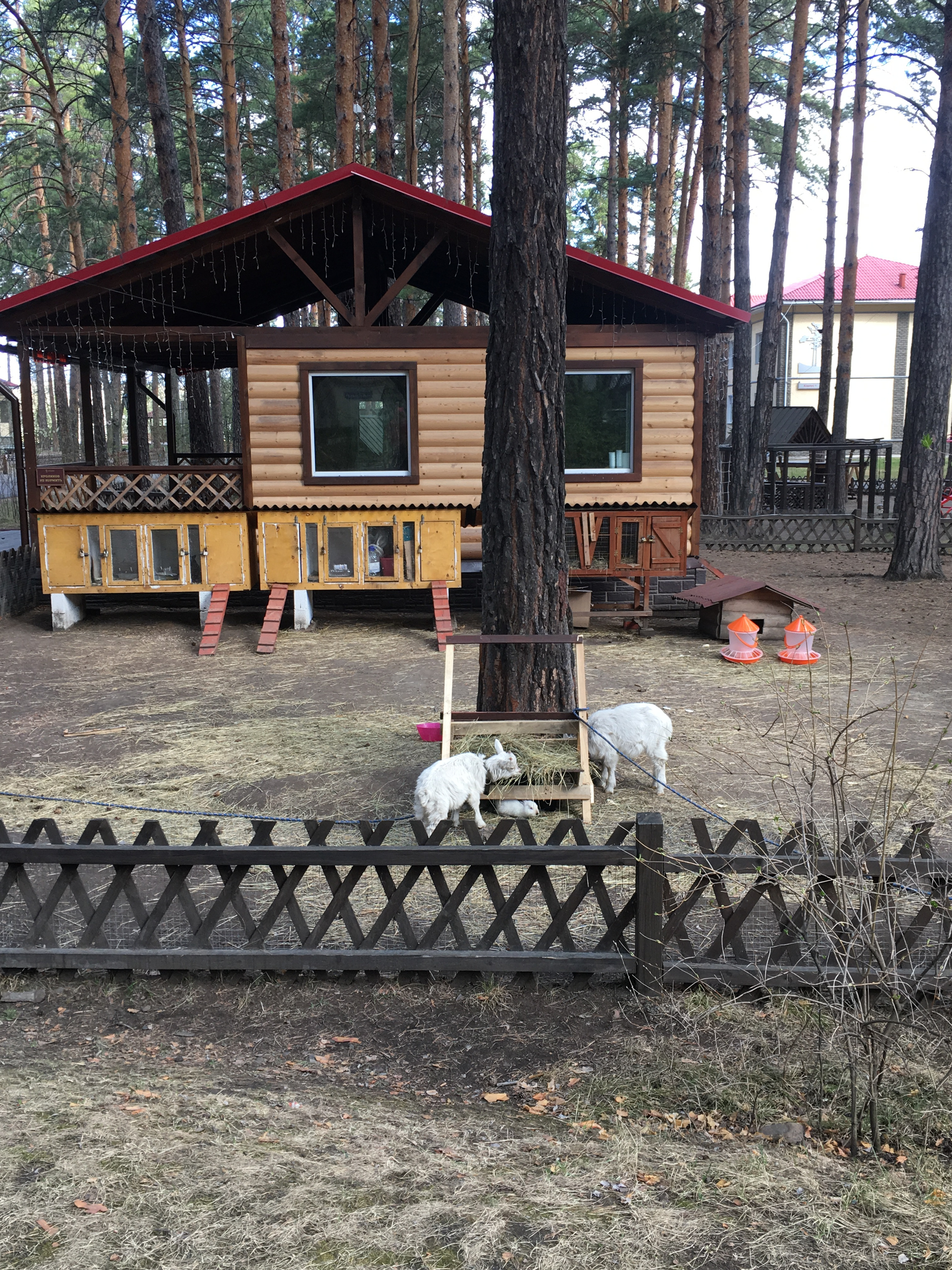 аквапарк дружба в есаулово