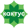 Кактус