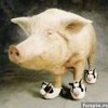 Михаил Дубов