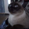 Басова Марина