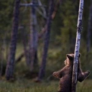 Иван Кропачев