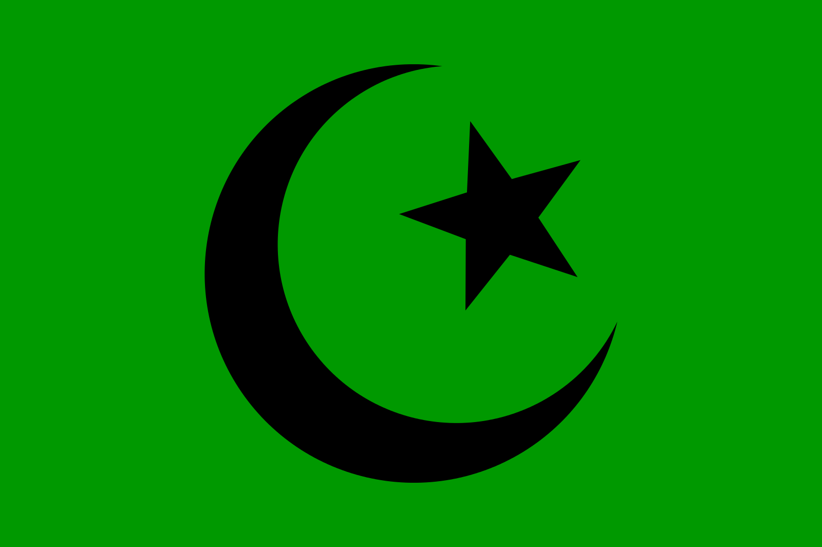 Фатимидский халифат флаг