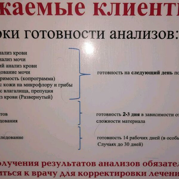 Неовит екатеринбург белинского. Неовит ветеринарная клиника Белинского 112а. Неовит ветеринарная клиника Екатеринбург. Неовит Екатеринбург.